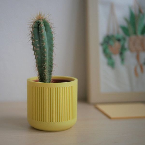 Petits pots de fleurs décoratifs, petits pots de fleurs pour cactus, 15 cm  (5 pièces)