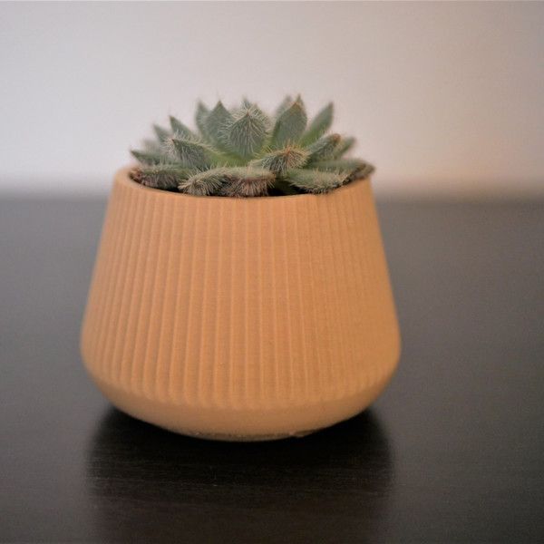 One - Pot décoratif / Cache-pot pour Cactus ou succulente - Bois - L'Atelier  des Créateurs