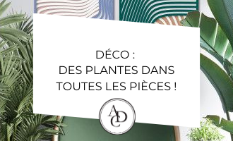 deco plante